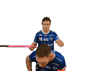 Karlovy Vary Floorball Sticker by Český florbal