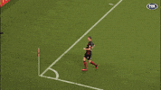 Mitchell Duke Goal GIF by wswanderersfc