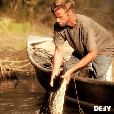 Swamp People Water GIF by DefyTV