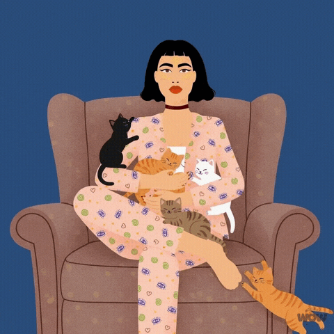 Kittens Cuddling GIF by World Of Women