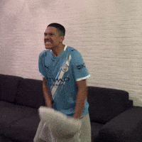 Premier League Soccer GIF
