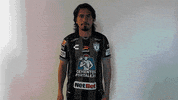 Futbol Mexicano GIF by Club Pachuca Tuzos