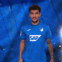 Sport Bundesliga GIF by TSG Hoffenheim