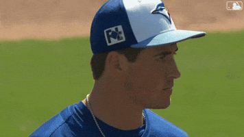 Blue Jays What GIF by Toronto Blue Jays
