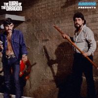 Lets Go Fighting GIF by Arrow Video