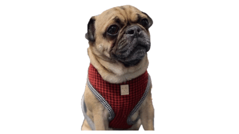 Sticker by RedandGinger