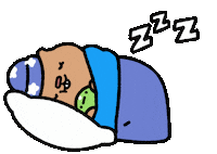 Sleep Sleeping Sticker
