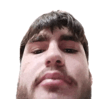 Gnl Sticker