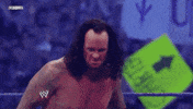 The Undertaker Sport GIF by WWE