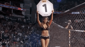 Sport Mma GIF by UFC