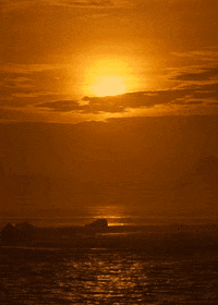 sea sunset GIF by Head Like an Orange