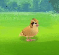 pokemon go GIF
