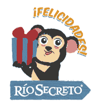 Gift Feliz Sticker by Río Secreto