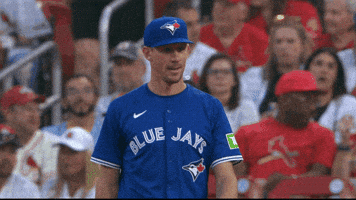 Happy Blue Jays GIF by Toronto Blue Jays