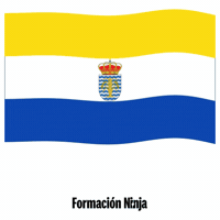 Bandera Sevilla GIF by Formación Ninja