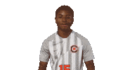 Soccer Celebrate Sticker by Carson-Newman Athletics