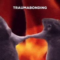 Agency Rats GIF by Luceo