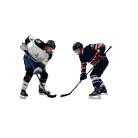 Ice Hockey Sticker by nclwildcatsbuiha