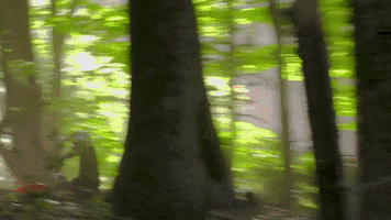 Say What You Mean Music Video GIF by aldn