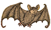 Tsungel flying bat tsungel Sticker