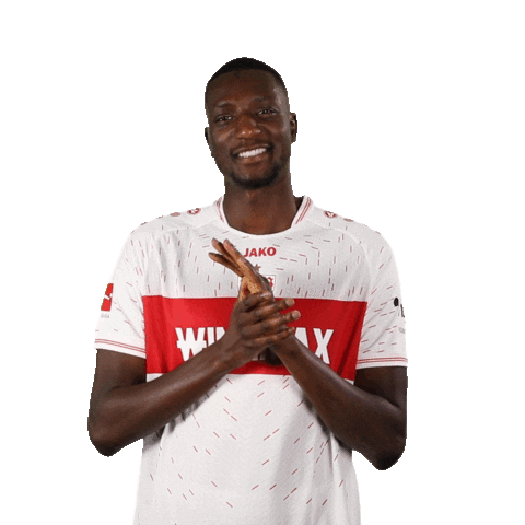 Come On Football Sticker by VfB Stuttgart