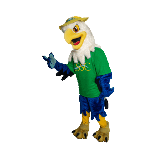 lakesumterstatecollege giphyupload swoop lakesumterstatecollege lakehawk Sticker