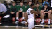 mbb GIF by UCF Knights