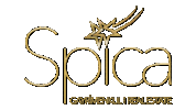 Spica Sticker by spicagayrimenkultr