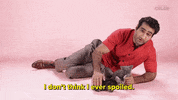 International Cat Day Spoilers GIF by BuzzFeed