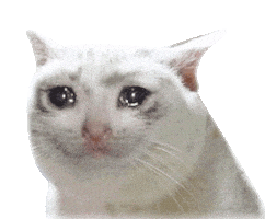 alarkokombi16 cute cat sad cat crying cat cat crying Sticker