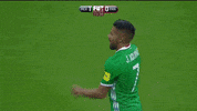 javier aquino selecciÃ³n mexicana GIF by MiSelecciónMX