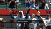 Happy Ny Mets GIF by New York Mets