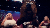 School College GIF by Missouri State University