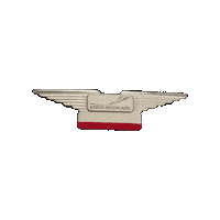 Flying Flight Attendants Sticker by Endeavor Air