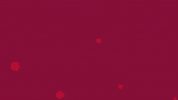 GIF by Private GIPHY Channel for Assets