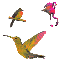 Rainbow Flying Sticker by Dinaaaaaah