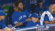 Major League Baseball Sport GIF by MLB
