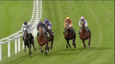 sir henry cecil champion GIF by World Horse Racing