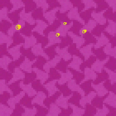 What's in the Fridge?