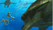 finding dory disney GIF by Disney/Pixar's Finding Dory