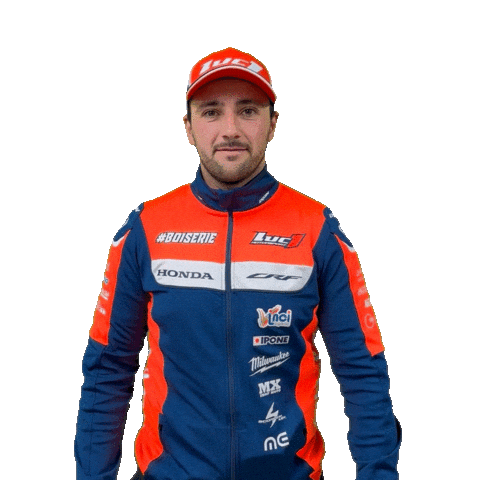 Boiserie Supermot Sticker by Luc1