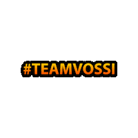 HaustechnikVosswinkel htv haustechnikvosswinkel teamvossi Sticker