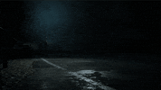 Following Black Cat GIF by BANDAI NAMCO Entertainment