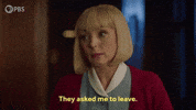 Season 14 Episode 6 GIF by PBS