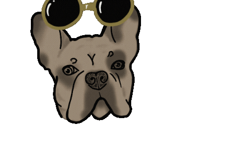 Refritscherator giphyupload dog cool sunglasses Sticker
