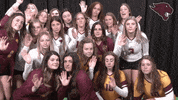 Volleyball GIF by CUCougars
