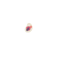 cell plop Sticker by Felix von Liska