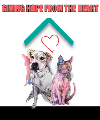 Heartland_Animal_Shelter giphygifmaker hope new home animal shelter GIF