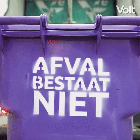 Verkiezingen Stemvolt GIF by VoltNL