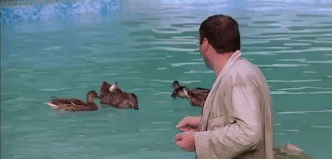 giorgikhidasheli giphygifmaker GIF